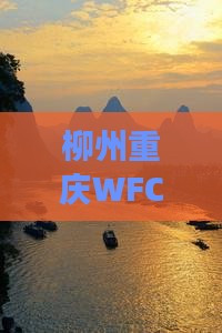 柳州去重庆wfc观景台旅行社