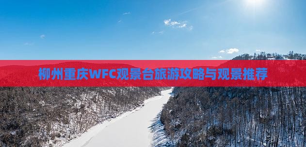 柳州去重庆wfc观景台旅行社