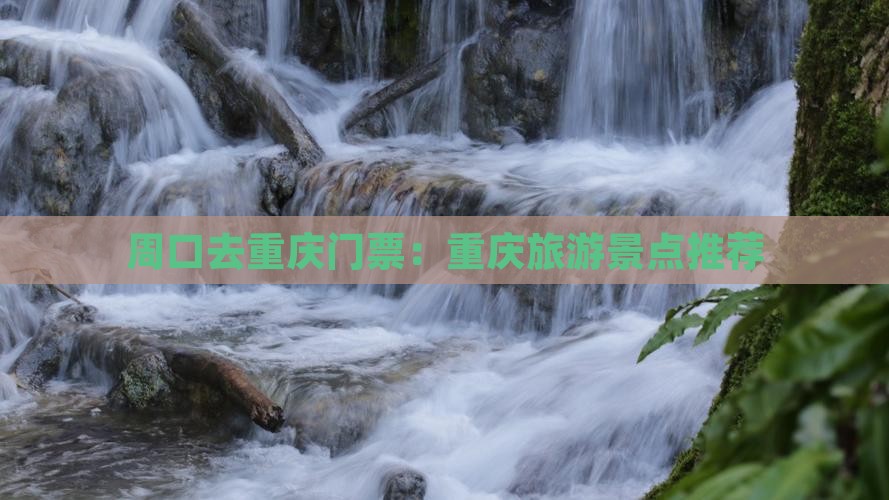 周口去重庆门票