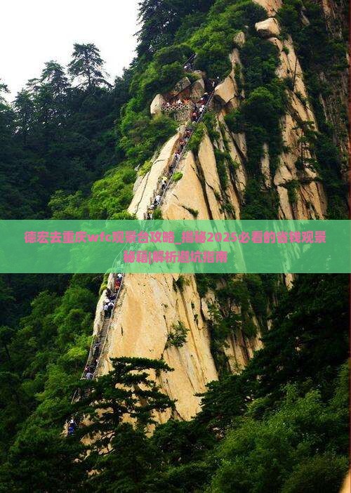 德宏去重庆wfc观景台攻略
