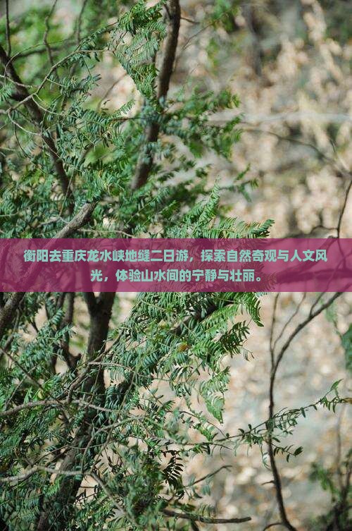 衡阳去重庆龙水峡地缝二日游