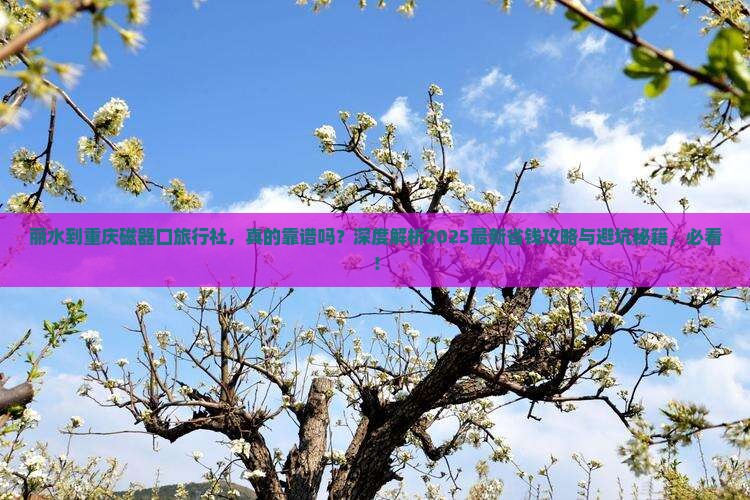 丽水到重庆磁器口旅行社