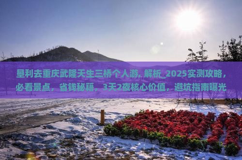 垦利去重庆武隆天生三桥个人游