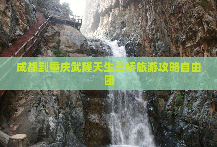 成都到重庆武隆天生三桥自由团