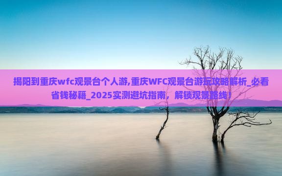 揭阳到重庆wfc观景台个人游