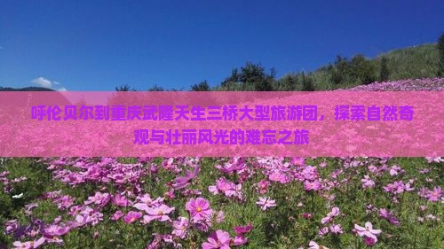 呼伦贝尔到重庆武隆天生三桥大型旅游团