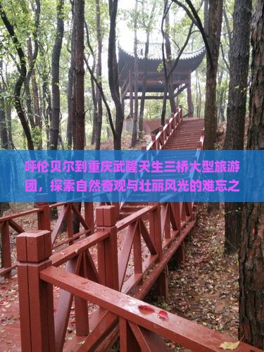 呼伦贝尔到重庆武隆天生三桥大型旅游团