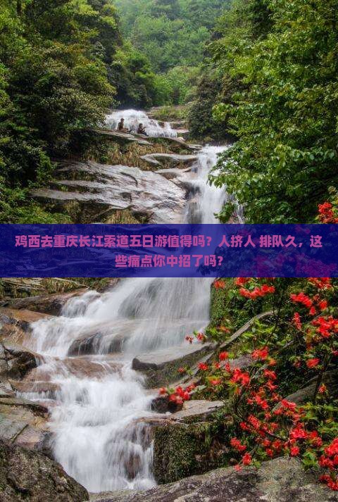 鸡西去重庆长江索道五日游