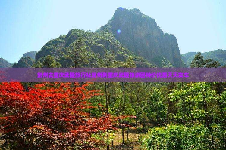 常州去重庆武隆旅行社
