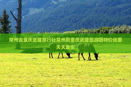 常州去重庆武隆旅行社