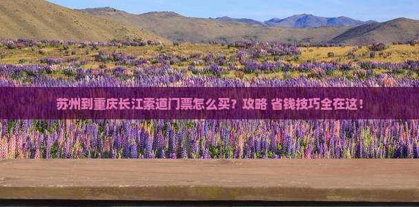 苏州到重庆长江索道门票