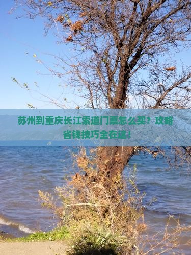 苏州到重庆长江索道门票