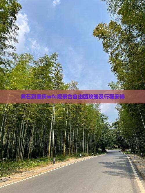 黄石到重庆wfc观景台自由团