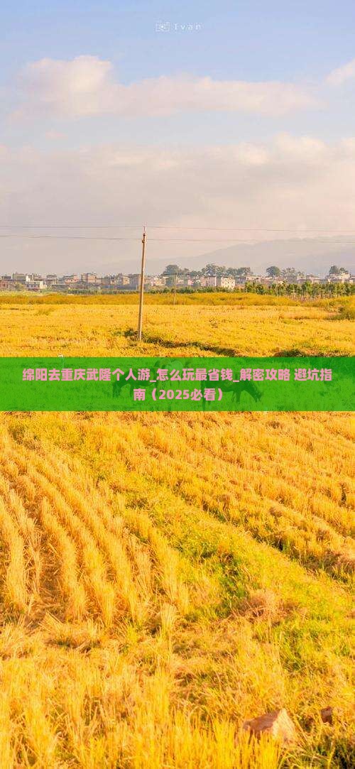 绵阳去重庆武隆个人游