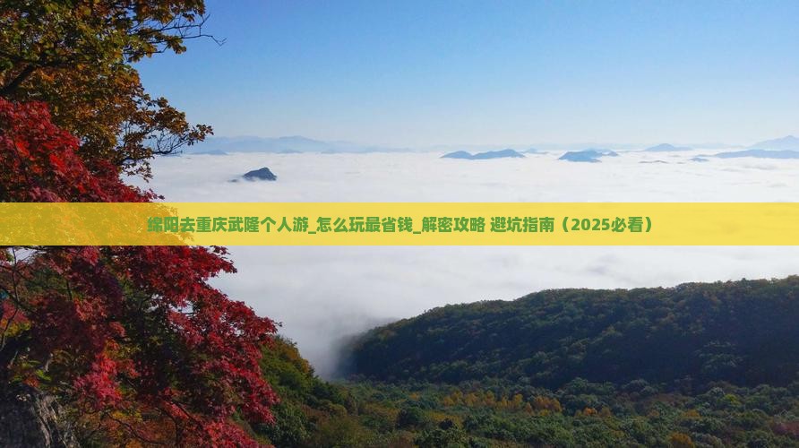 绵阳去重庆武隆个人游