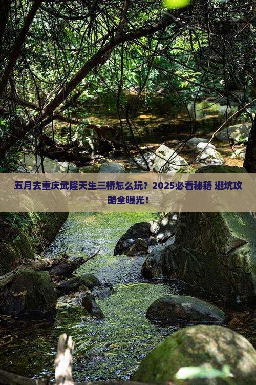 五月到重庆武隆天生三桥哪里玩