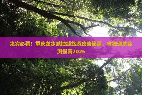 来宾到重庆龙水峡地缝旅游