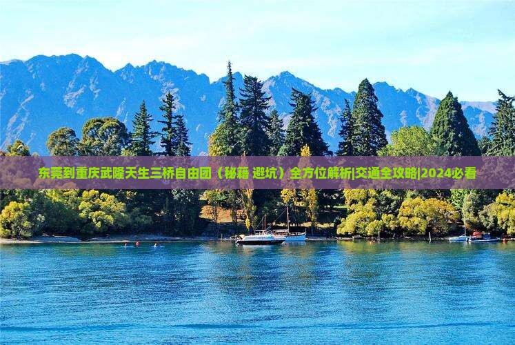 东莞到重庆武隆天生三桥自由团