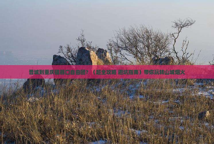 晋城到重庆磁器口自由团