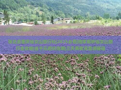 张北去重庆仙女山旅行社