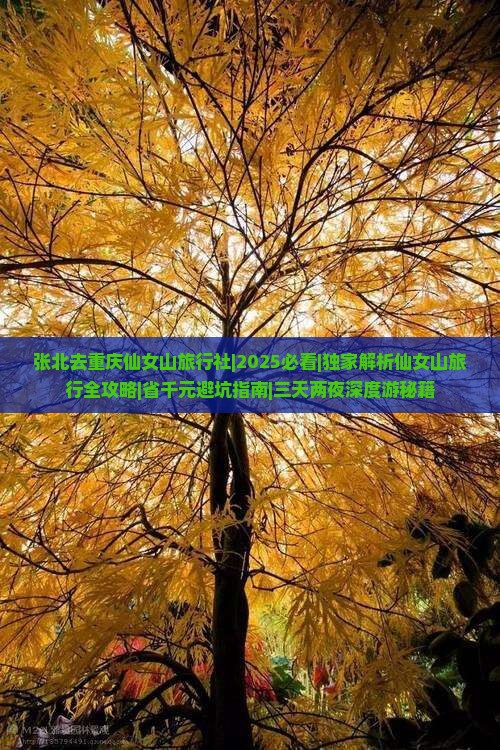 张北去重庆仙女山旅行社