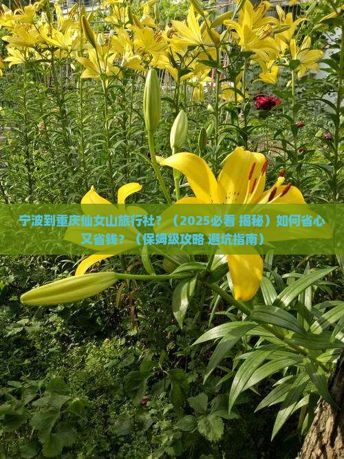宁波到重庆仙女山旅行社