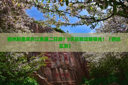 衢州到重庆长江索道二日游
