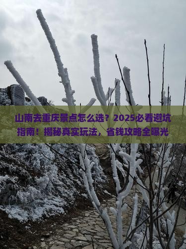 山南去重庆景点