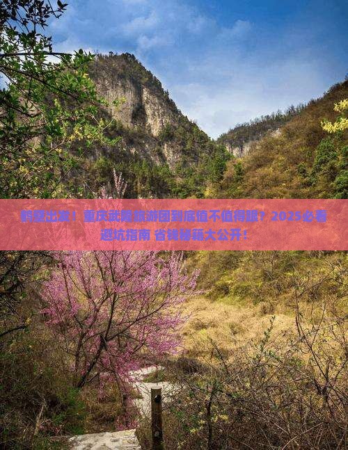 鹤壁到重庆武隆大型旅游团