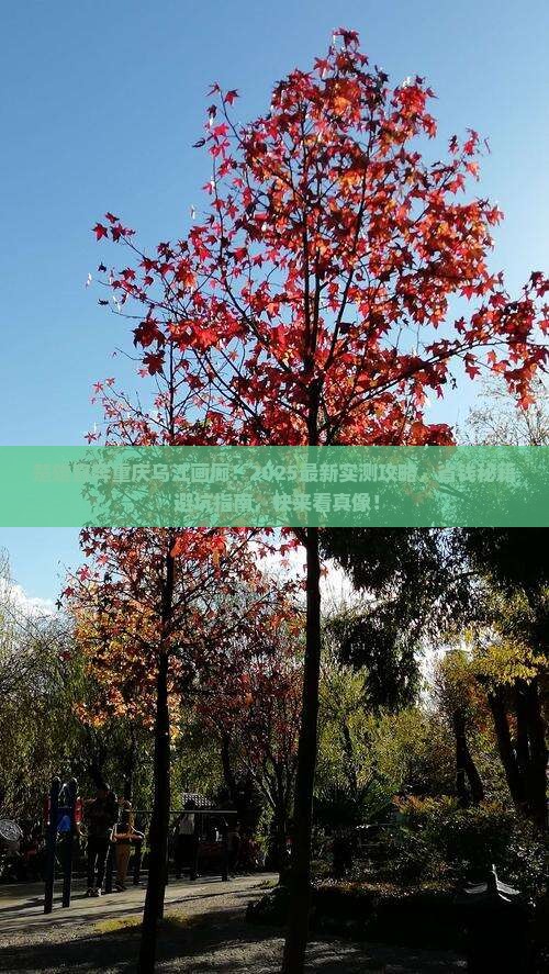 楚雄到重庆乌江画廊自由行 楚雄到重庆乌江画廊自由行
