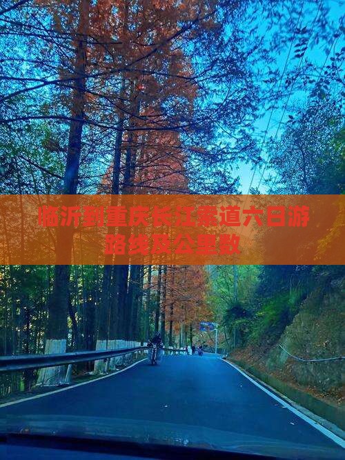 临沂到重庆长江索道六日游
