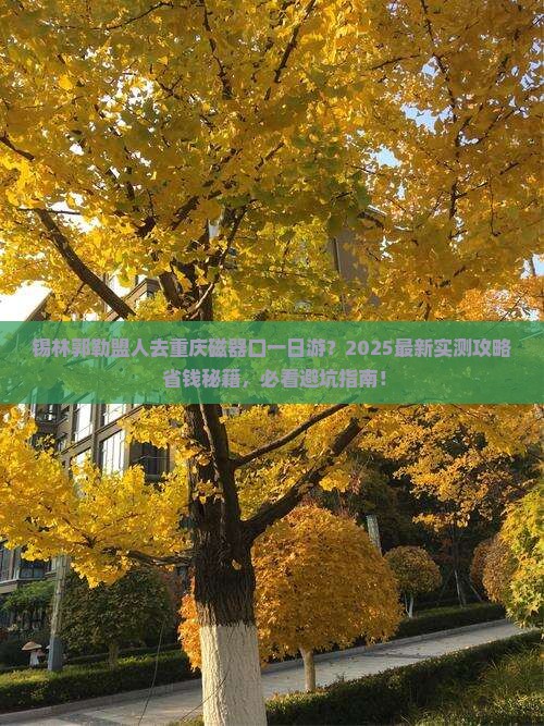 锡林郭勒盟去重庆磁器口一日