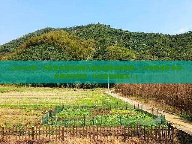 阿克苏去重庆武隆大型旅游团
