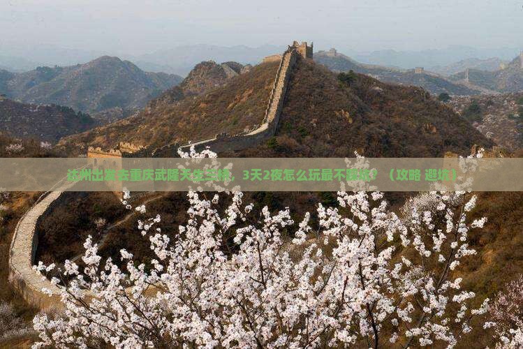 达州到重庆武隆天生三桥个人游