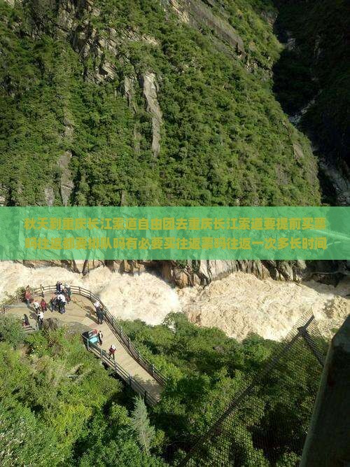 秋天到重庆长江索道自由团