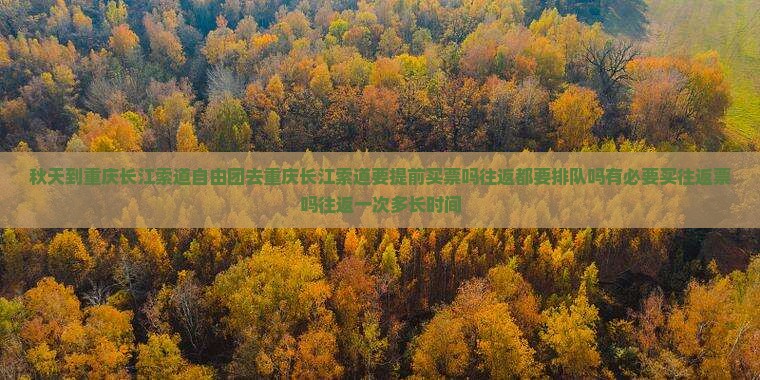秋天到重庆长江索道自由团