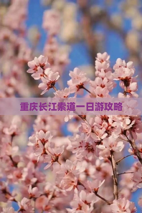 元旦去重庆长江索道一日