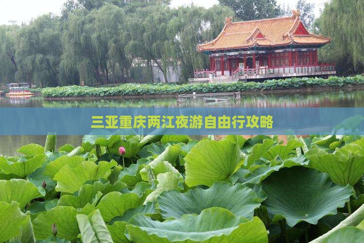 三亚去重庆两江夜游自由行