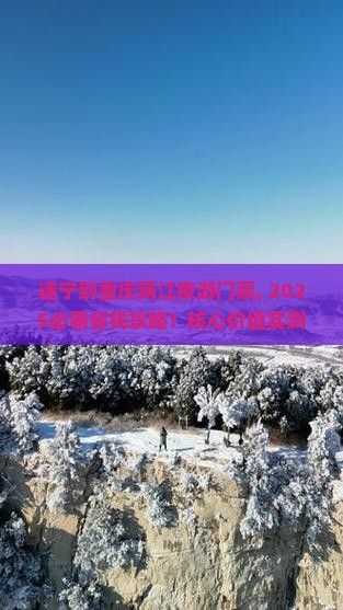 遂宁到重庆两江夜游门票