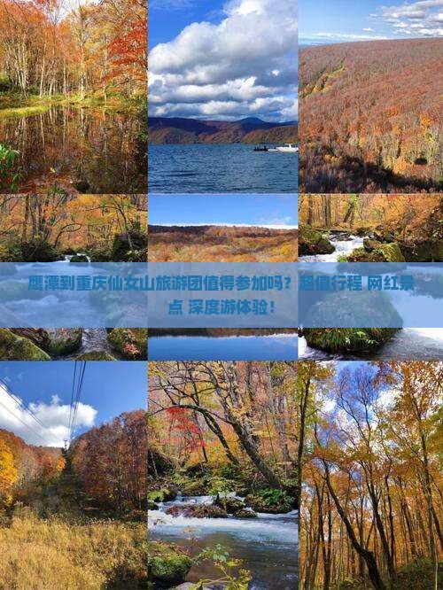 鹰潭到重庆仙女山大型旅游团