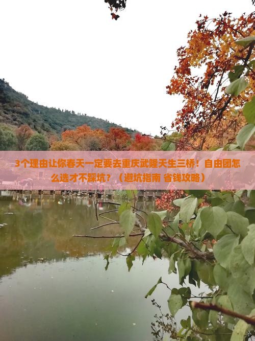 春天去重庆武隆天生三桥自由团