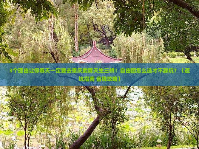春天去重庆武隆天生三桥自由团