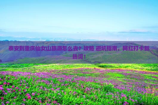 泰安到重庆仙女山旅游