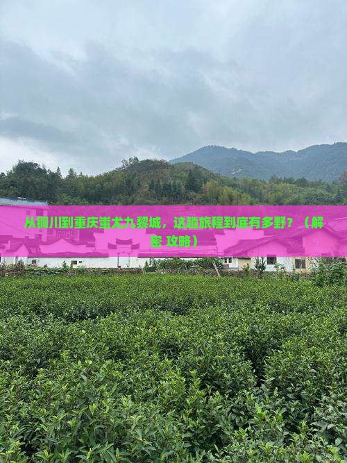 铜川到重庆蚩尤九黎城必去地