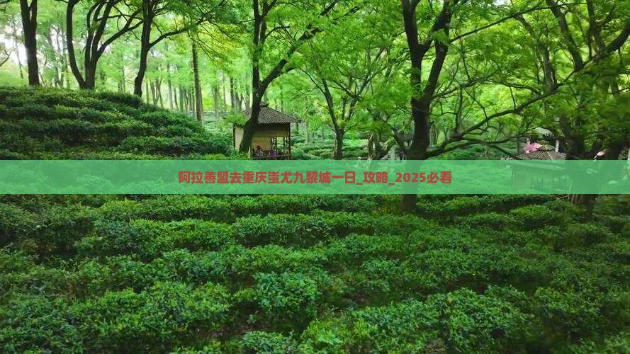 阿拉善盟去重庆蚩尤九黎城一日