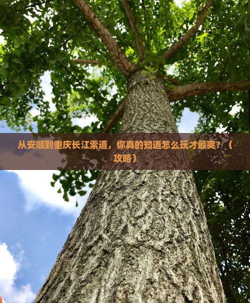 安顺到重庆长江索道旅游 安顺到重庆长江索道旅游