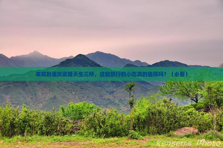 来宾到重庆武隆天生三桥旅游小吃