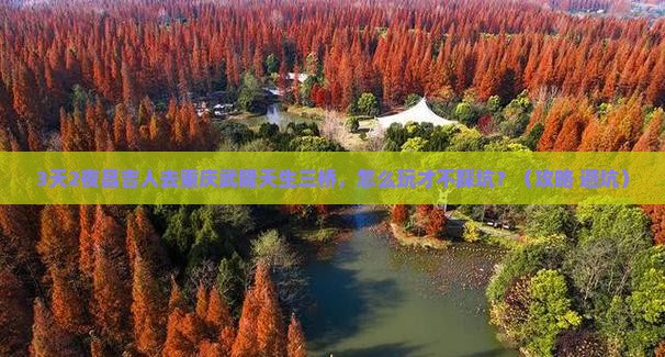 昌吉去重庆武隆天生三桥个人游