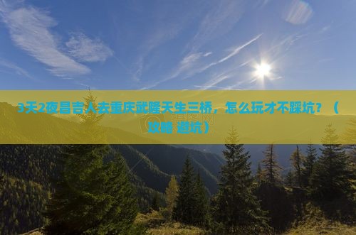 昌吉去重庆武隆天生三桥个人游