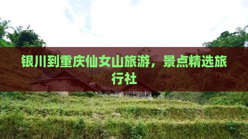 银川到重庆仙女山旅行社